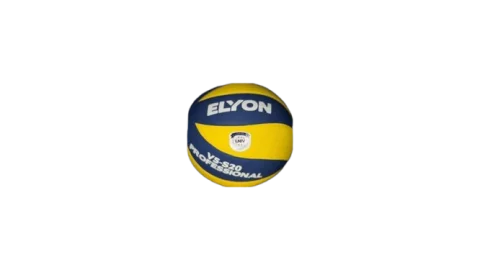 Balones de Voleibol