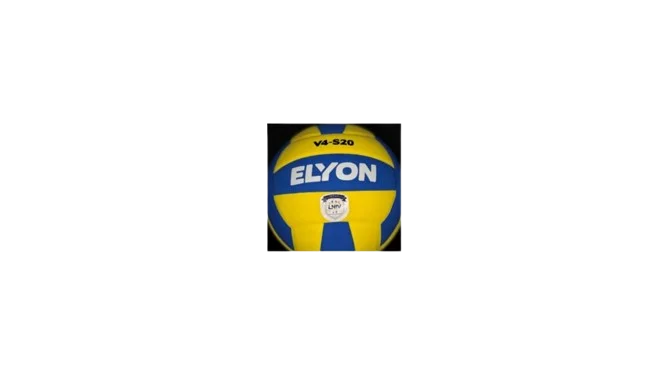 Balones de Voleibol