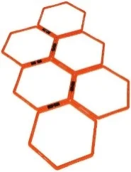 AROS  HEXAGONALES