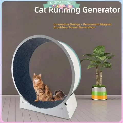 Gato, perro pequeño, generador para correr, generador de imán permanente, rodillo, animal doméstico estable, juguete deportivo y fitness, carga USB