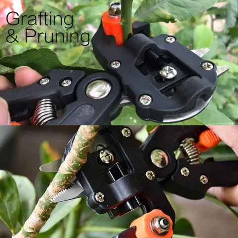 Podadora de injerto profesional para jardinería, tijeras de podar para agricultura, tijeras de vacuna de árboles frutales, con cinta roja