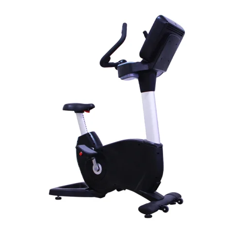 Bicicleta de Ejercicio Spinning, Bicicleta de Gimnasio Comercial, Bicicleta Magnética Vertical para Fitness