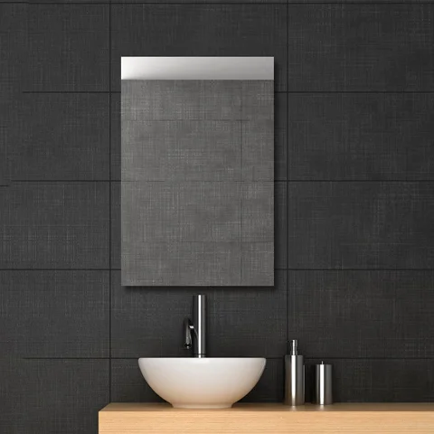 ESPEJO 20X60 RECTANGULAR 1