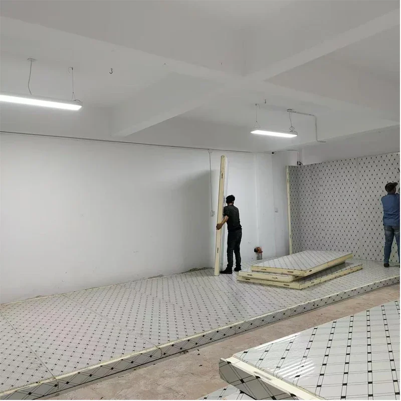 Almacenamiento en el frigorífico Paseo en el frigorífico Almacenamiento en frío Sala congeladora Sala de congelación Frío